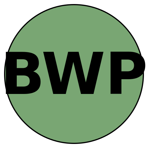 BeautyWeddingPros